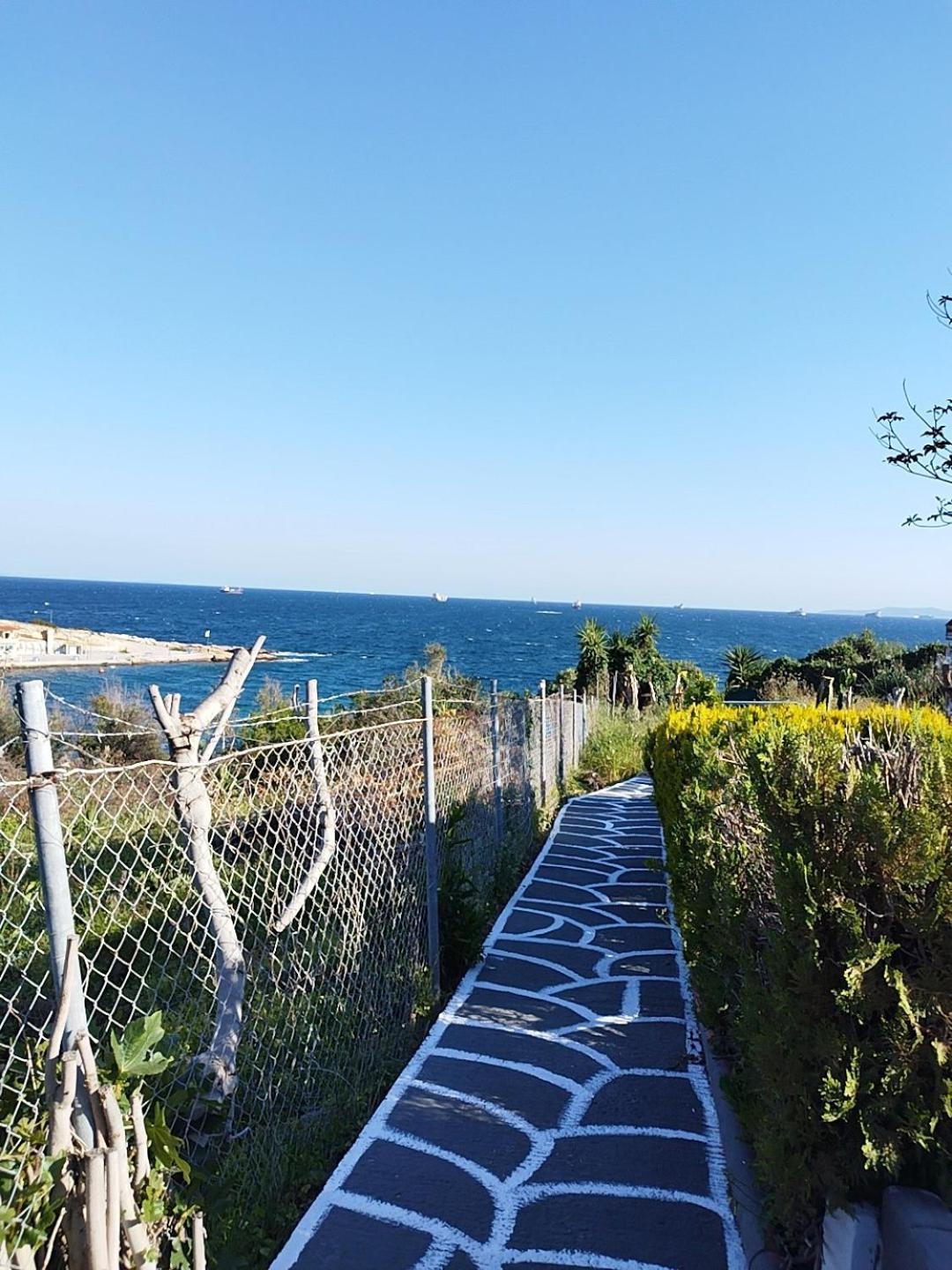 Kynosoura'S Sea View Apartment Ambelakia ภายนอก รูปภาพ